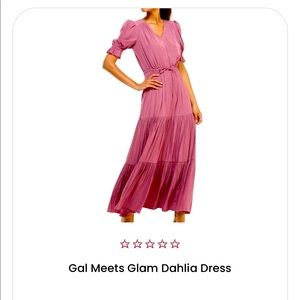Gal Meets Goam Dahlia Dress - size 4